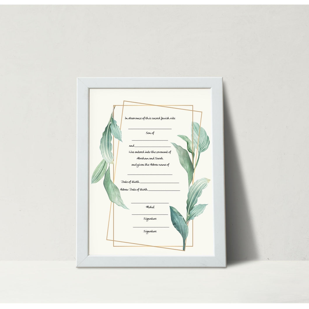 Jewish baby Boy Bris Ceremony Certificate, B'rit Milah, ready to ship