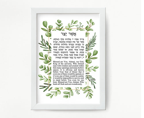 Asher Yatzar Wall Print Blessing Hebrew and English Leaves Design, Jewish Prayer
